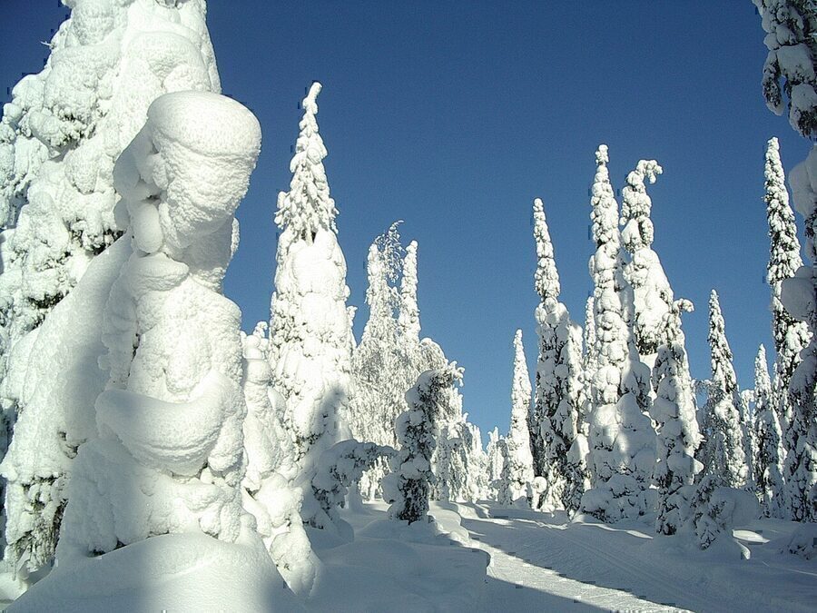 Kuusamo, Soome