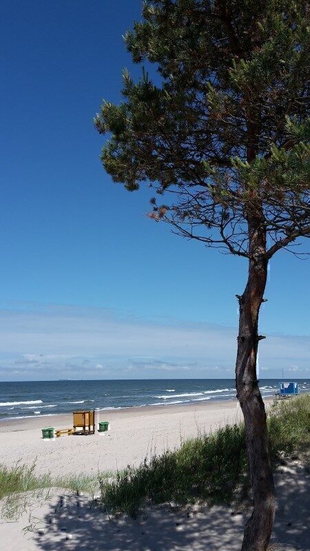 Palanga, Leedu